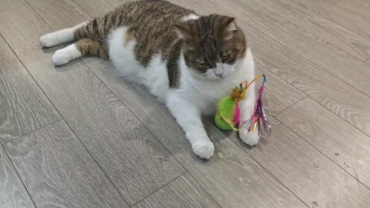 Sparrow Bird-Shaped Pet Toy, Fabric, Animal Print, Battery Powered, Non-rechargeable, Suitable for All Breed Sizes, Safe Button Battery, Interactive Play for Cats
