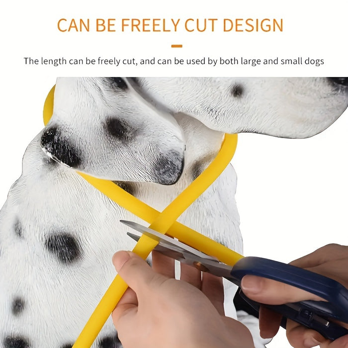 Rechargeable LED Dog Collar with Anti-Loss Feature, Bright Night Light for Dogs