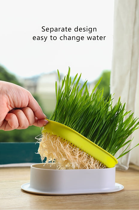 1pc, Hydroponic Grass Growing Pot For Improved Digestion And Health - Includes Greenhouse Grow Box (Seeds Not Included)